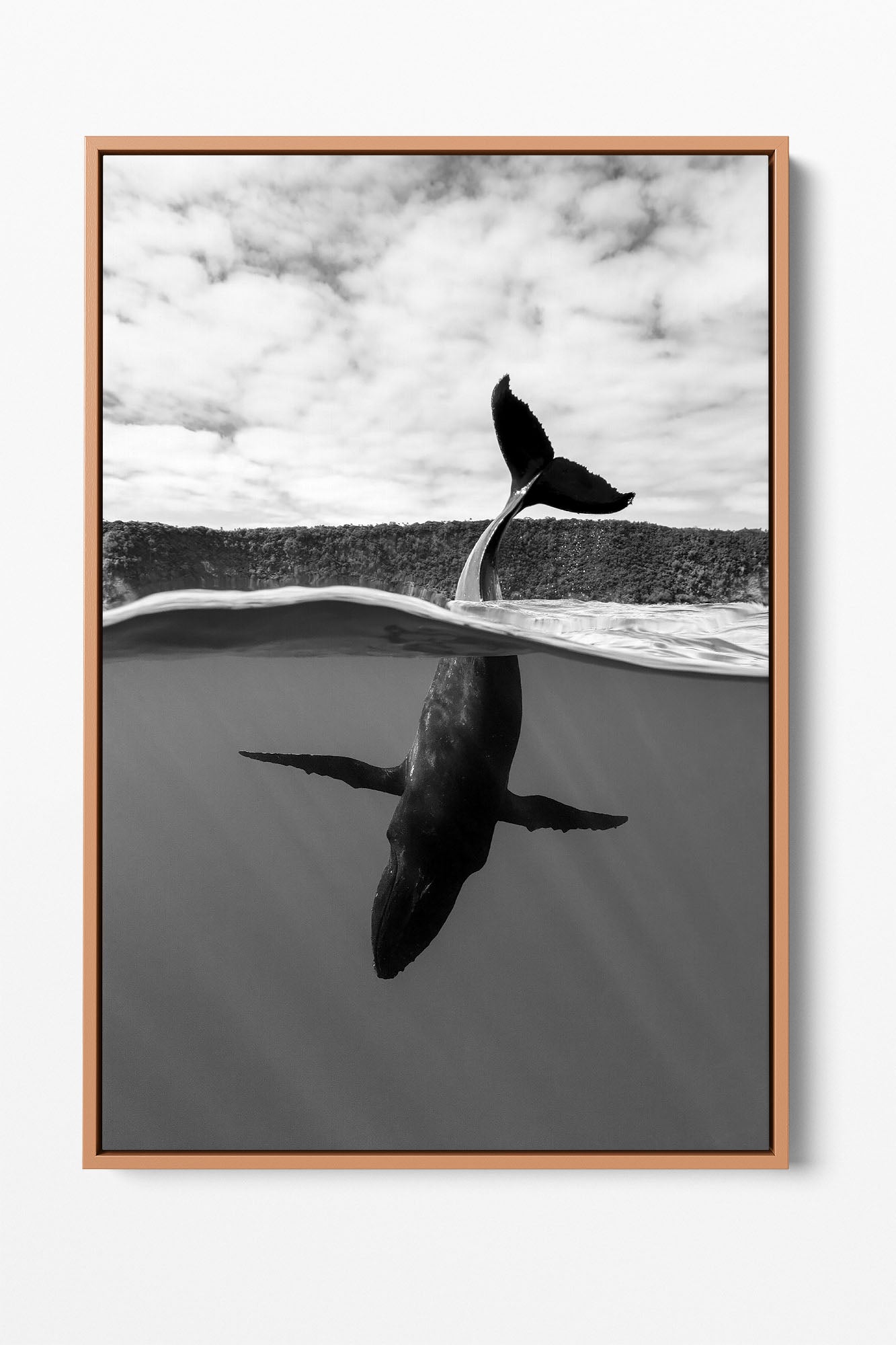 Tail Sailing Humpback Whale | Monochrome