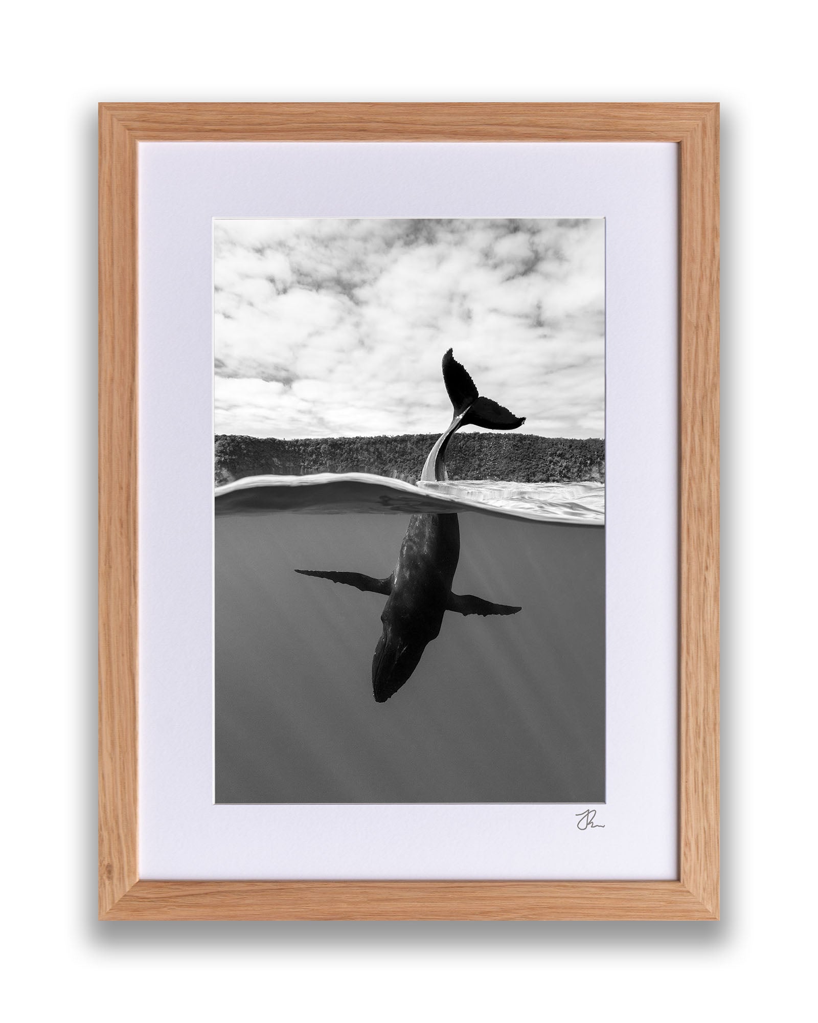 Tail Sailing Humpback Whale | Monochrome