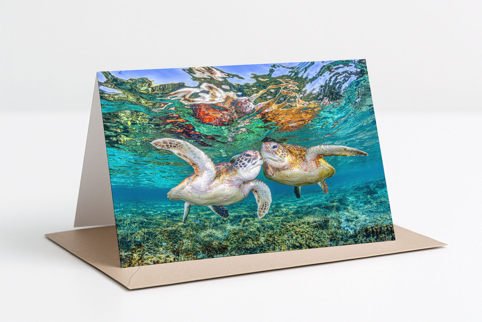 Green Sea Turtle Greeting Card 4x Pack