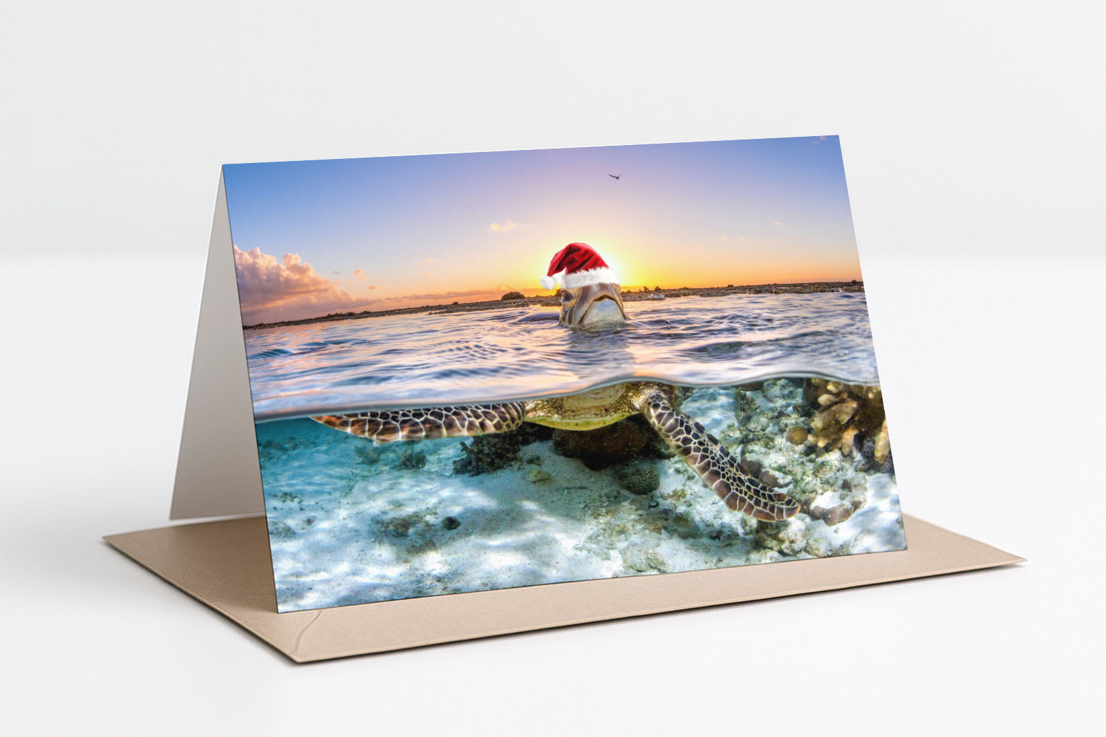 Sea Turtle Christmas Card Pack