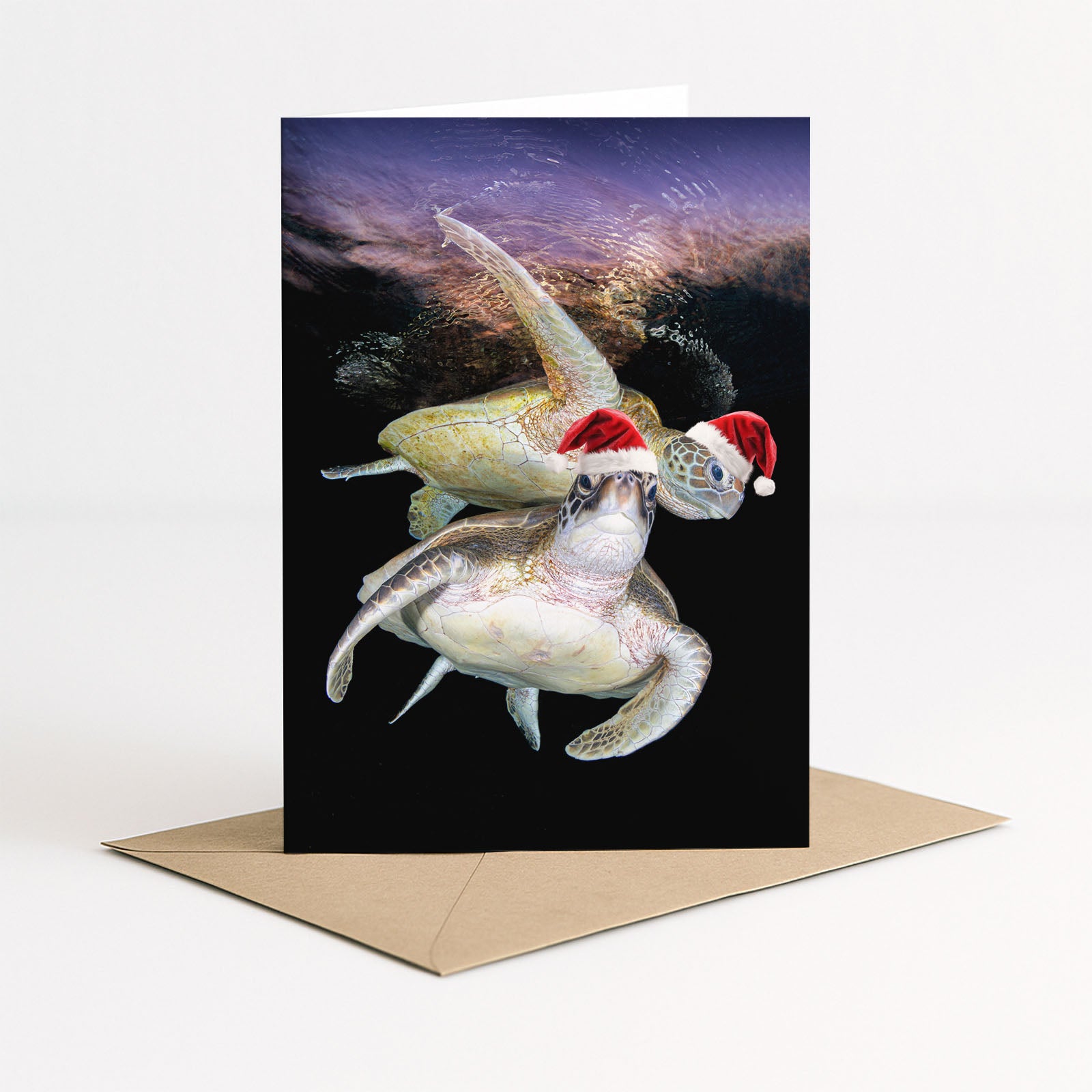 Sea Turtle Christmas Card Pack
