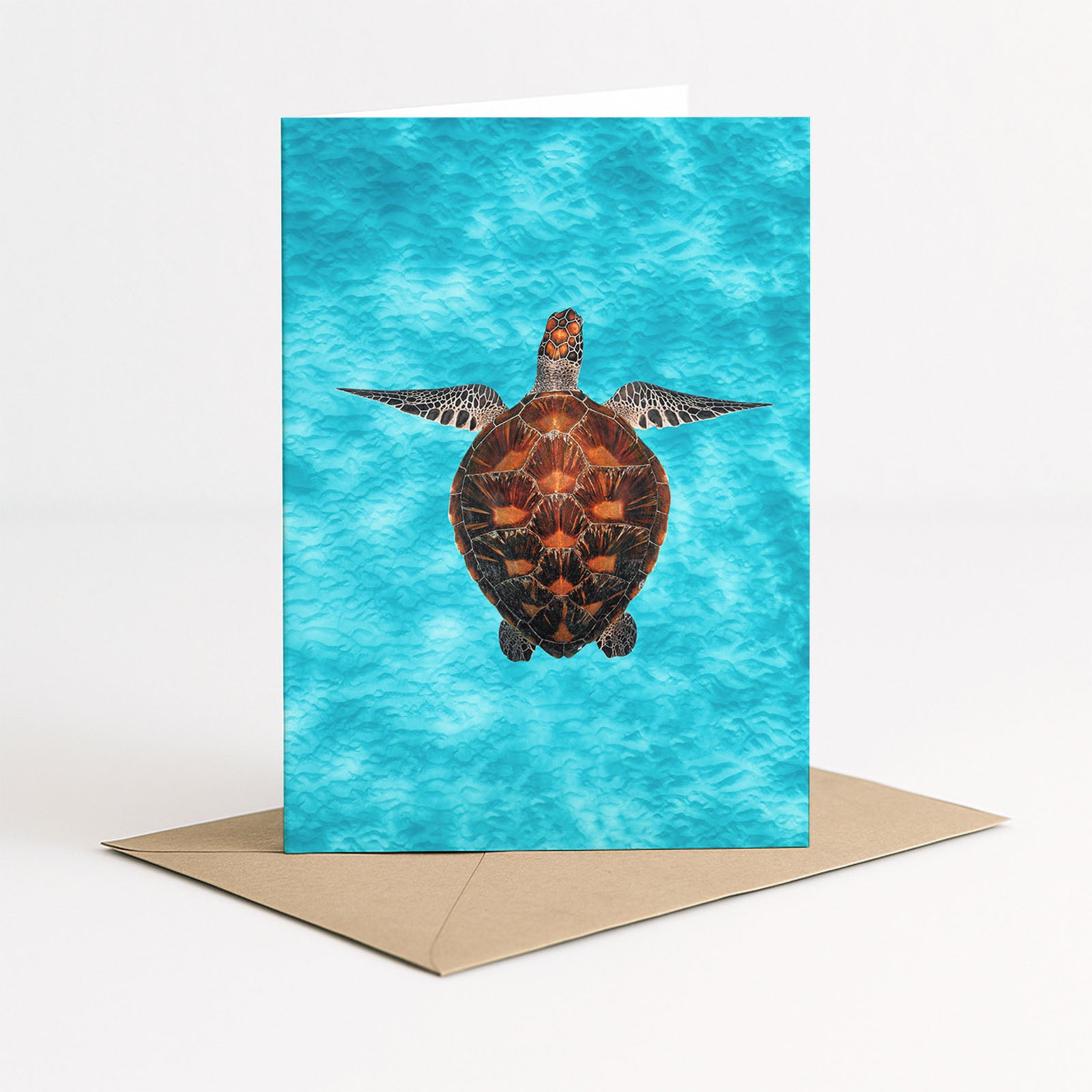 Green Sea Turtle Greeting Card 4x Pack