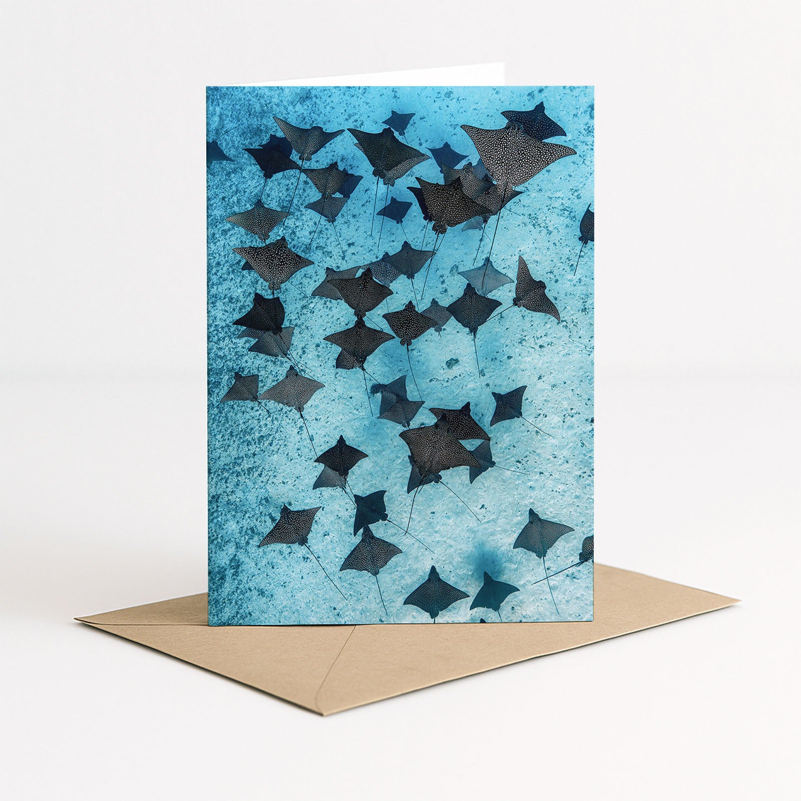 Ocean Wildlife Greeting Card 4x Pack