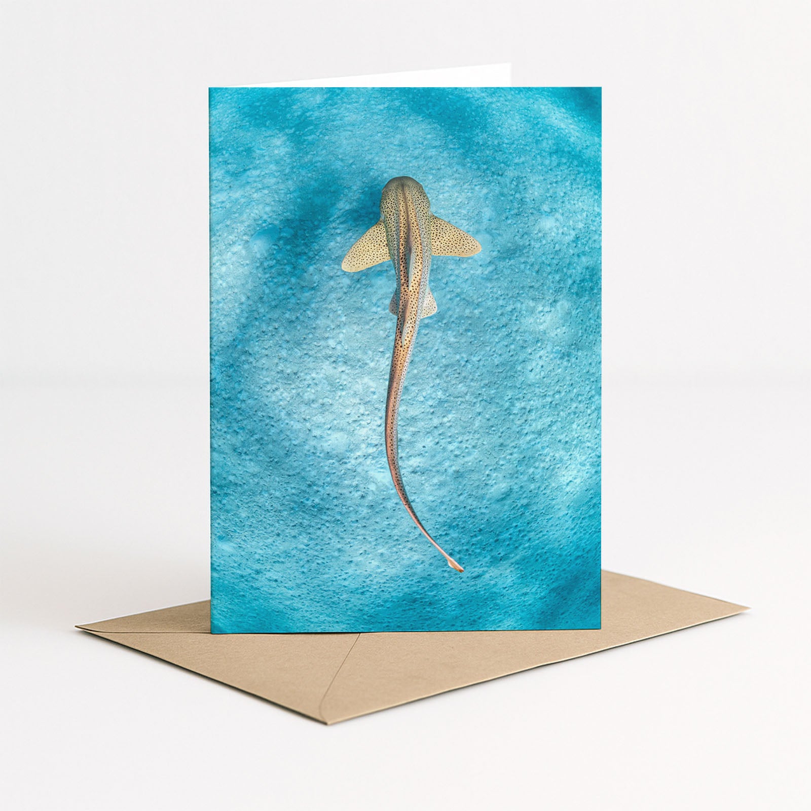 Ocean Wildlife Greeting Card 4x Pack