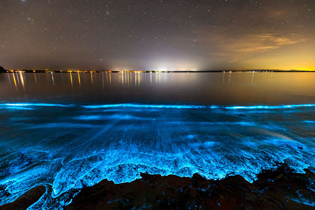 Bioluminescence Jervis Bay #2