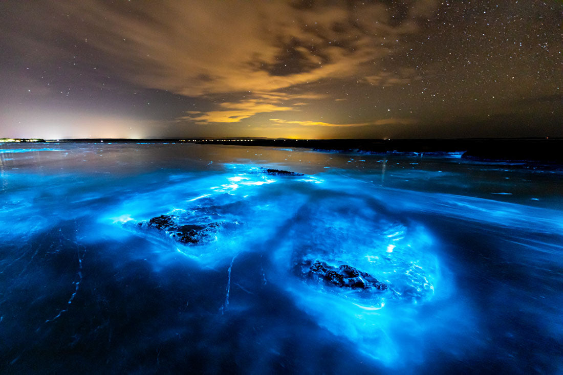 Bioluminescence Jervis Bay #3