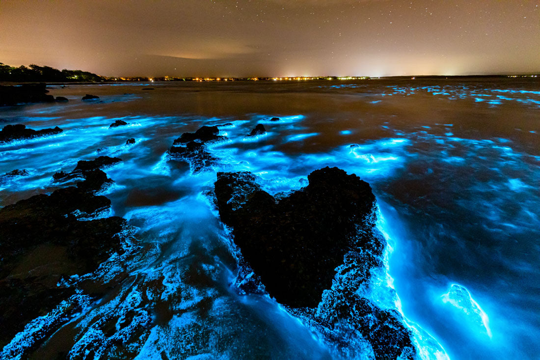 Bioluminescence Jervis Bay #4