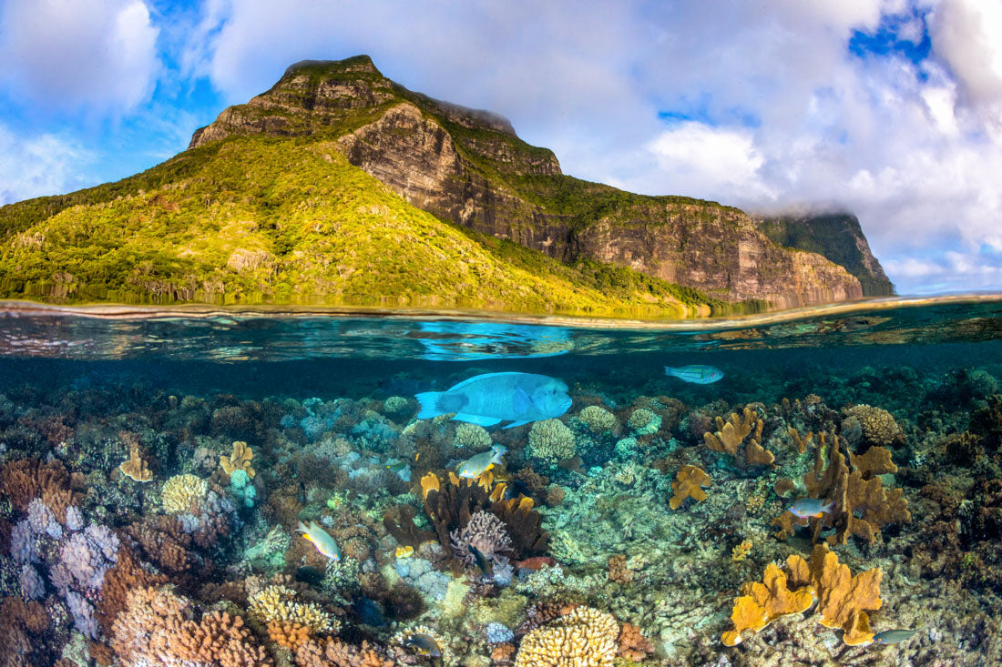 Mount Gower To The Sea | Lord Howe Island