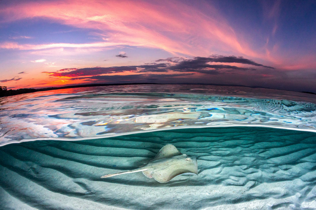 Psychedelic Stingaree Sunset | Jervis Bay