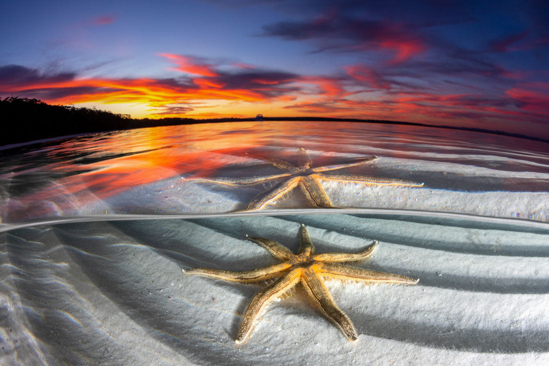 Sand Star Sunset | Jervis Bay