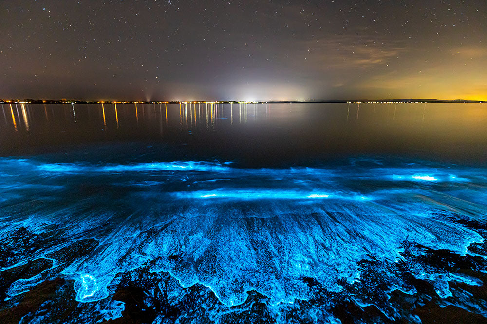 Sea Sparkle | Jervis Bay