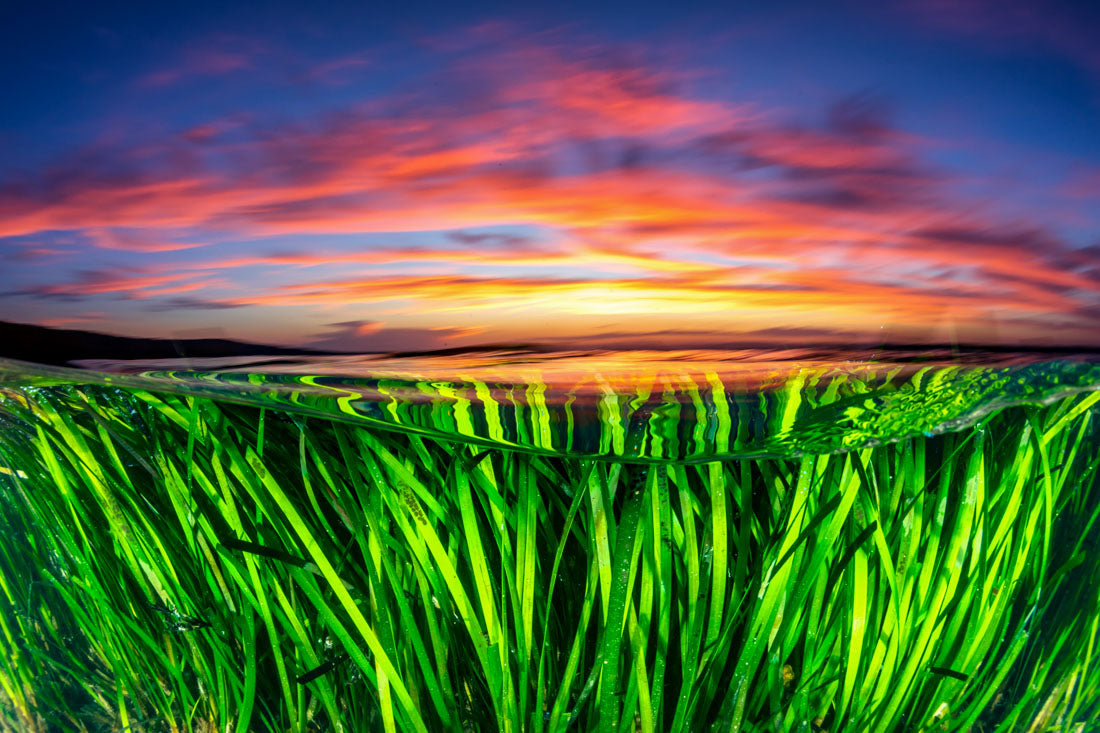 Sunset Over The Seagrass Beds | Jervis Bay